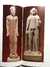 Cypriote antiquities in the Pierides collection, Larnaca, Cyprus