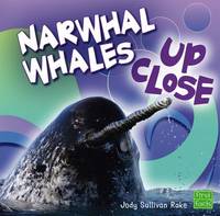 Narwhal Whale up Close