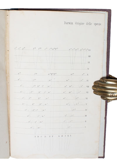 Sull'Origine delle Specie per Elezione Naturale ovvero Conservazione delle Razze perfezionate nella Lotto per L'Esistenza. Prima Traduzione Italiana col Consenso dell' Autore per Cura di G. Canestrini e L. Salimbeni. - [FIRST ITALIAN TRANSLATION OF DARWIN'S "ORIGIN OF SPECIES"] (photo 2)