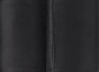ESV Value Thinline Bible (TruTone, Midnight, Flame Design)