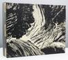 In Black and White: Landscape Prints by Claire Van Vliet.