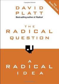 image of The Radical Question and a Radical Idea