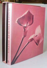 essays about robert mapplethorpe Photographic analysis on the two pictures of robert mapplethorpe on studybaycom - i remember that moment when i opened seeing and, online marketplace for students. essays about robert mapplethorpe Photographic analysis on the two pictures of robert mapplethorpe on studybaycom - i remember that moment when i opened seeing and, online marketplace for students.