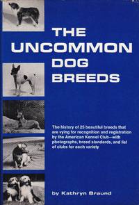 The Uncommon Dog Breeds