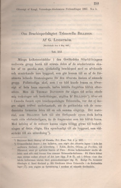 OM BRACHIOPODSLÄGTET TRIMERELLA BILLINGS.