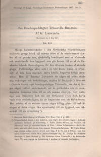 OM BRACHIOPODSLÄGTET TRIMERELLA BILLINGS.