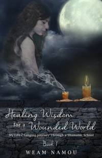 Healing Wisdom for a Wounded World: My Life-Changing Journey Through a Shamanic School (Book 1)