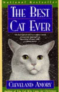 The Best Cat Ever