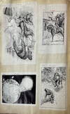 The Pictorial Archives of W. S....; (photo 6)