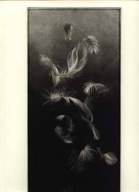Feathers. Eight Poems by Ruth Fainlight & Mezzotints by Judith Rothchild by Ruth Verdigris Press. Fainlight - Signed - 2002 - from Priscilla Juvelis, Inc. (SKU: 9115)