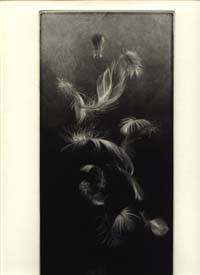 Feathers. Eight Poems by Ruth Fainlight &amp; Mezzotints by Judith Rothchild de Verdigris Press. Fainlight, Ruth - 2002