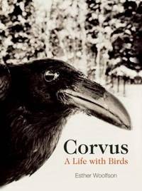Corvus : A Life with Birds