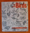 Ways of Drawing Birds: A Guide to Expanding Your Visual Awareness