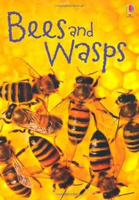 Bees & Wasps (Usborne Beginners) (Beginners Series)