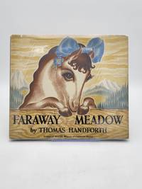 cover of Faraway Meadow.