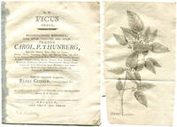 Ficus genus, dissertatione botanica. A.a.