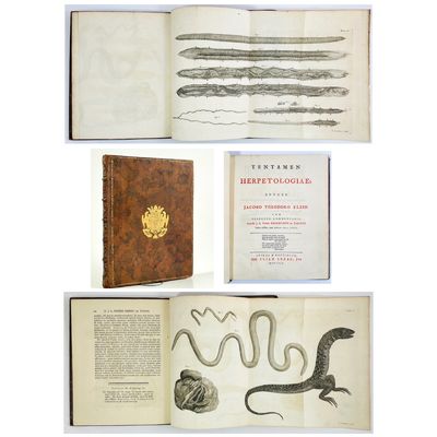 Tentamen herpetologiae. Cum perpetuo commentario.…