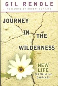 cover of JOURNEY IN THE WILDERNESS New Life for Mainline Churches