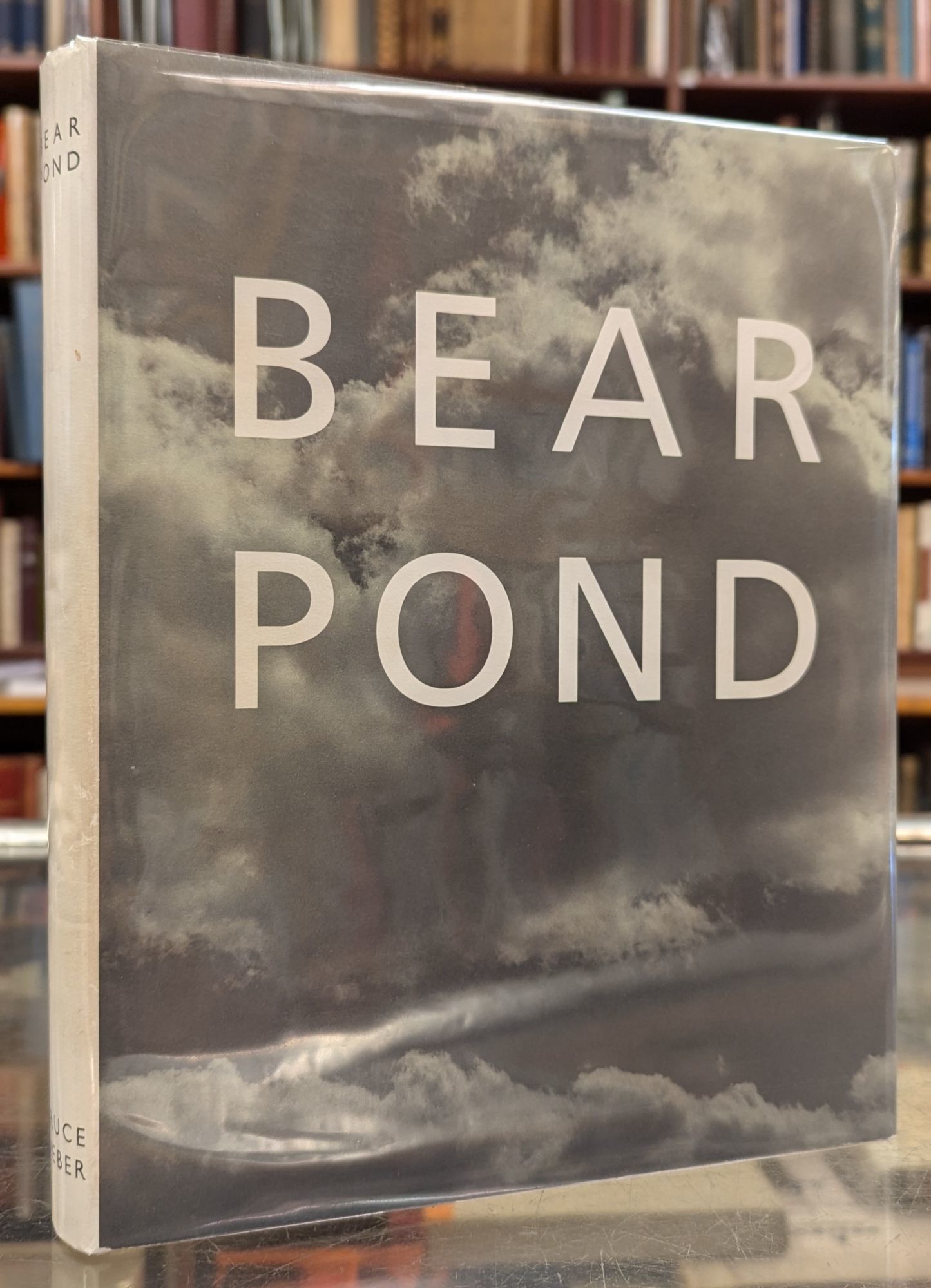 Bear Pond by Bruce Weber | Hardcover | 1990 | Bulfinch