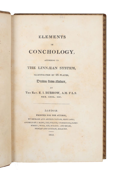 Elements of Conchology, according to The Linnæan…