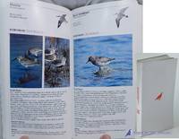 Western Birds: An Audubon Handbook