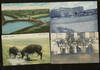 Group of 15 Arizona Post Cards