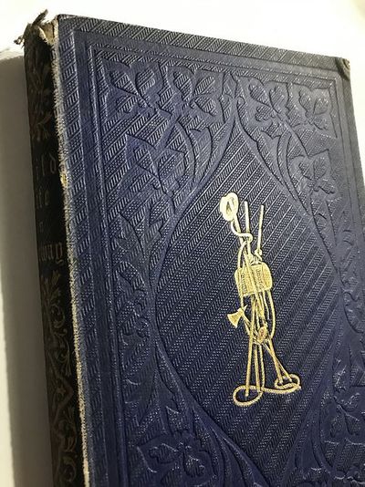 Wild life on the fjelds of Norway.