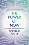 The Power Of Now
