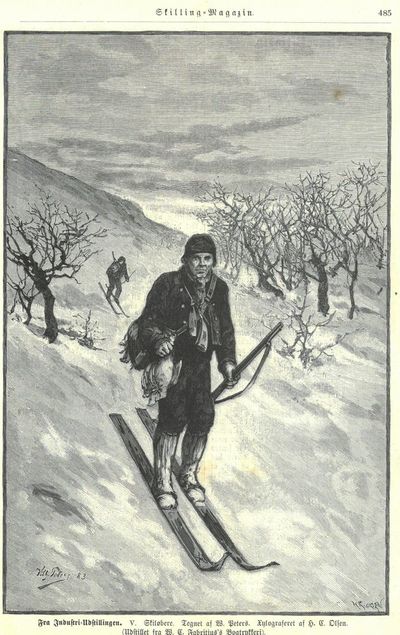 Skiløbere. Tegnet af W. Peters. Xylograferet af…