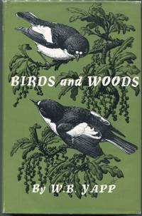 Birds and Woods