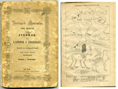 Zoologisk handatlas för skolor eller figurer till…