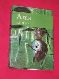 Ants (New Naturalist 59) by M. V Brian - 1977