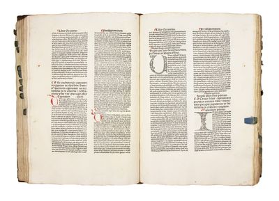 Biblia Latina (With printed summaries...; (photo 14)