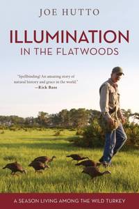 Illumination in the Flatwoods : A Season Living Among the Wild Turkey
