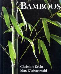 BAMBOOS