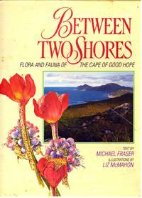image of BETWEEN TWO SHORES