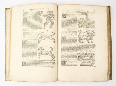 Opus Martiani. Capellae de Nuptiis Philologiae & Mercurii libri duo. De Grammatica. Liber. Tertius. De Dialectica. Liber. Quartus. De Rhetorica. Liber. Quintus. De Geometria. Liber. Sextus. De Arithmetica. Liber. Septimus. De Astronomia. Liber. Octavus. De Musica. Liber. Nonus