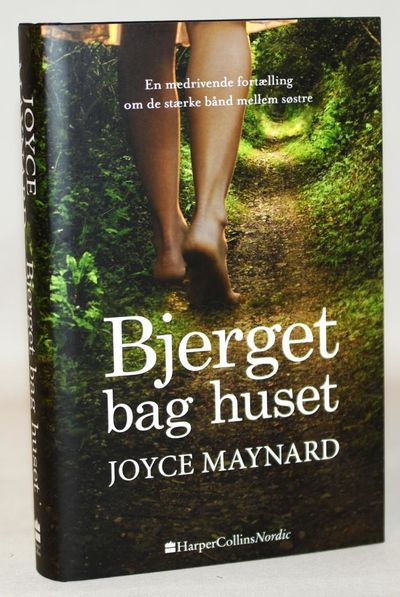 Bjerget bag huset.