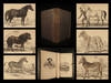 The Naturalist’s Library, Mammalia vol xii… Horses