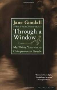 image of Through a Window