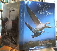 The Flight of the Snow Geese