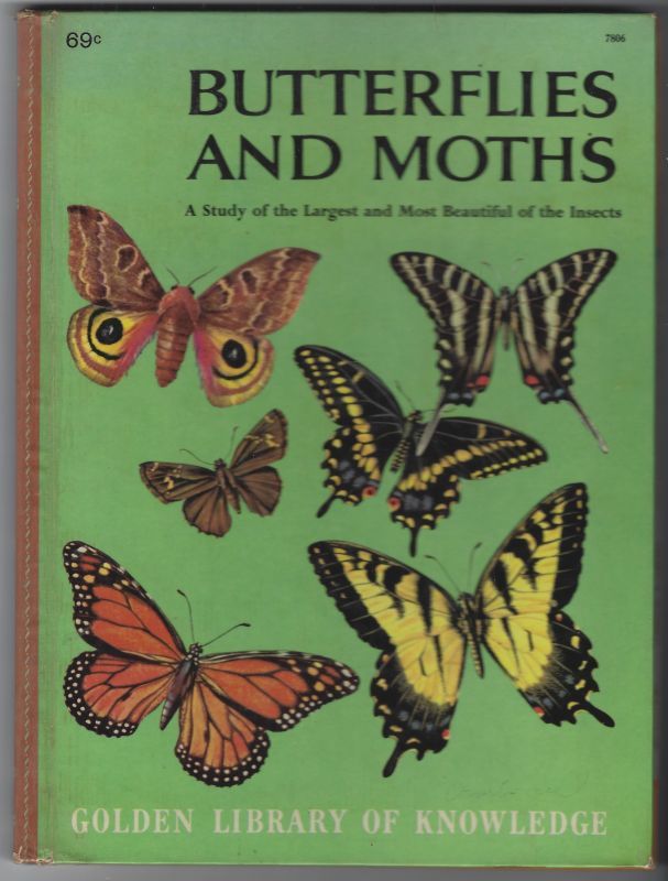 BUTTERFLIES AND MOTHS A Study of the Largest and Most Beautiful of the Insects