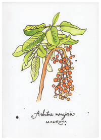 Blank Journal - Madrona Botanical Cover