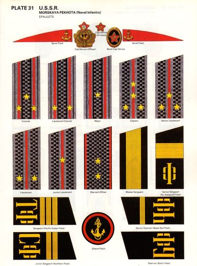 Marine Badges & Insignia of the World. (photo 2)