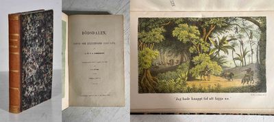 Dödsdalen. Natur- och kulturbilder från Java af…