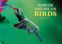 North American Birds