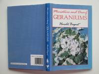 Miniature and dwarf geraniums (pelargoniums)