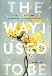 The Way I Used to Be by Amber Smith - 2017-03