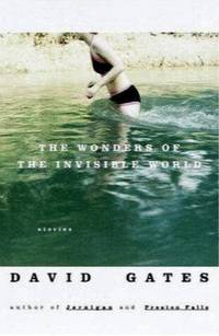image of The Wonders of the Invisible World: Stories