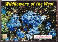 Wildflowers of the West - Highlights of Western Australia's Unique Native Flora